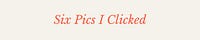 Six Pics I Clicked // Ana Gambuto