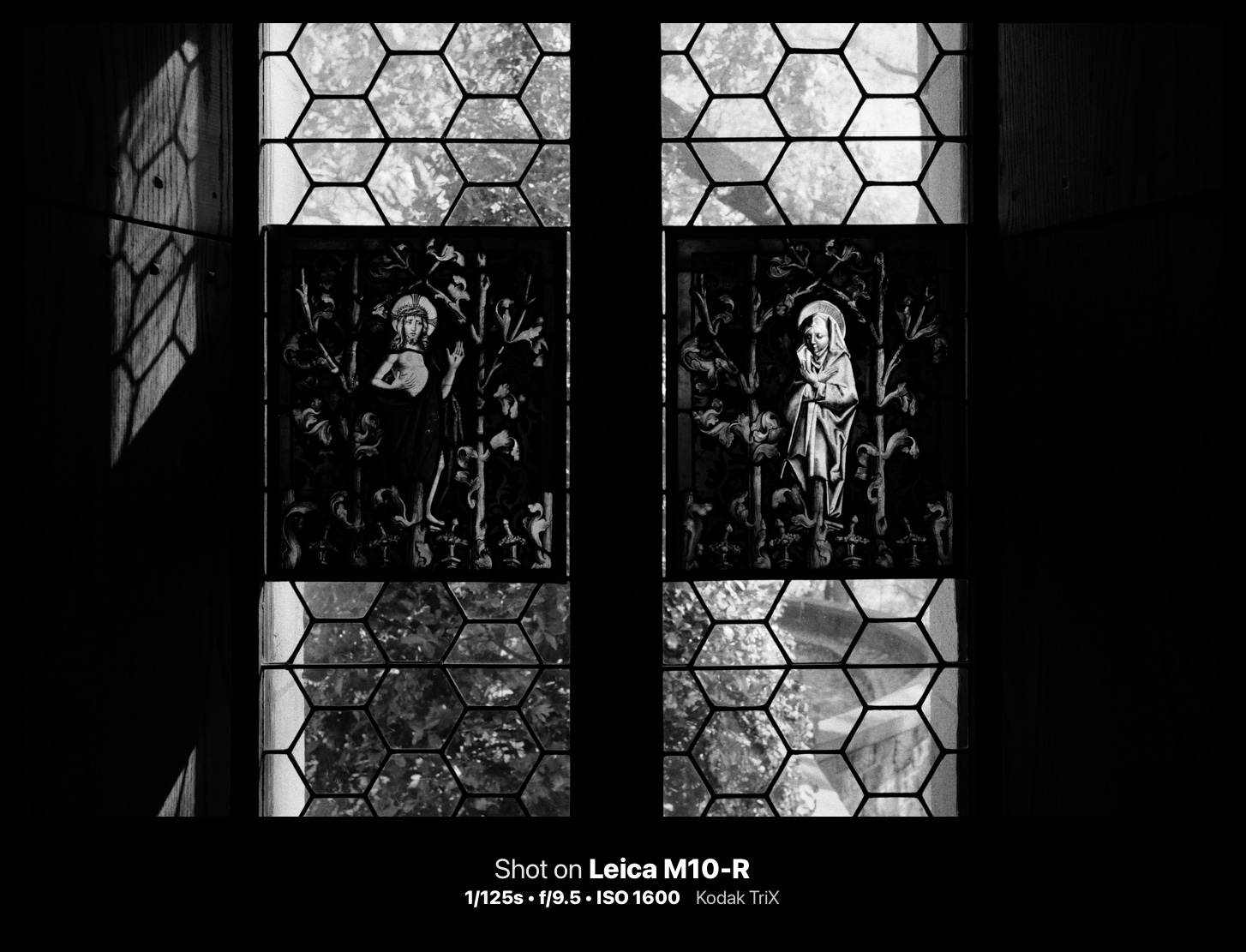 black and white photograph. cameraclara.com all rights reserved.