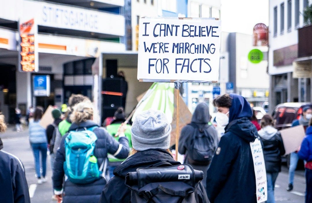 people walking on pedestrian lane during daytime