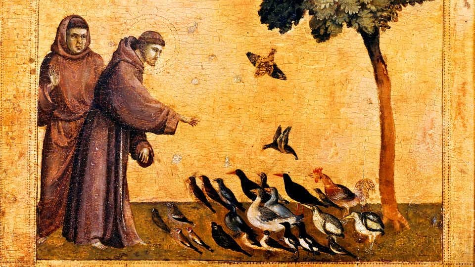 Description de l’image Description de l’image