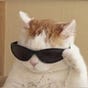 Katie's avatar