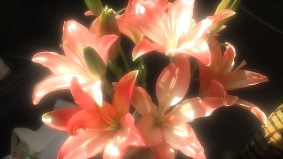 This may contain: a vase filled with pink flowers on top of a table