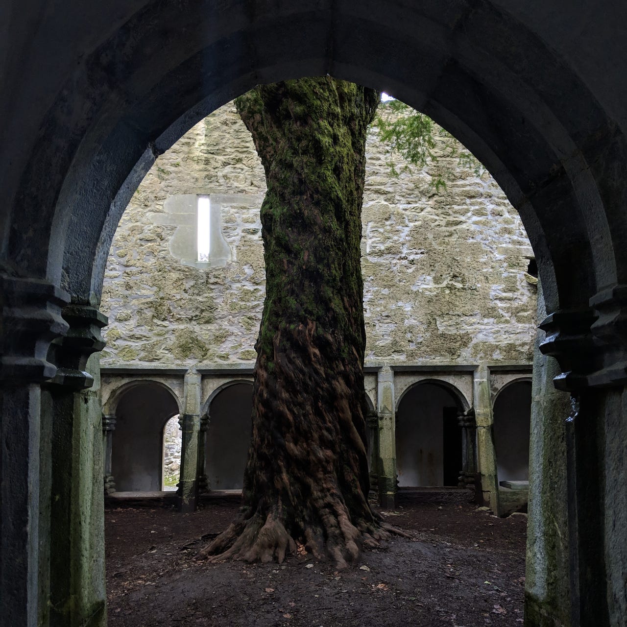 Faith Seeking Understanding