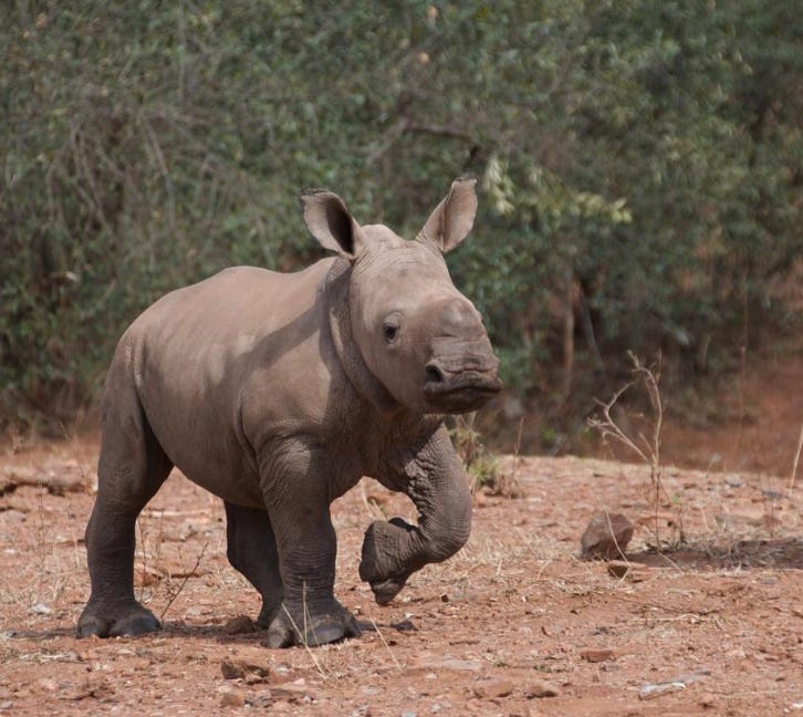 Les 7 Bonnes Nouvelles du Samedi 20 Décembre 2025