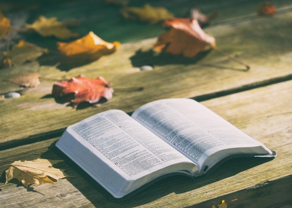 A Bible open on a wooden picnic table with autumn leaves scattered on it. A Bible open on a wooden picnic table with autumn leaves scattered on it.