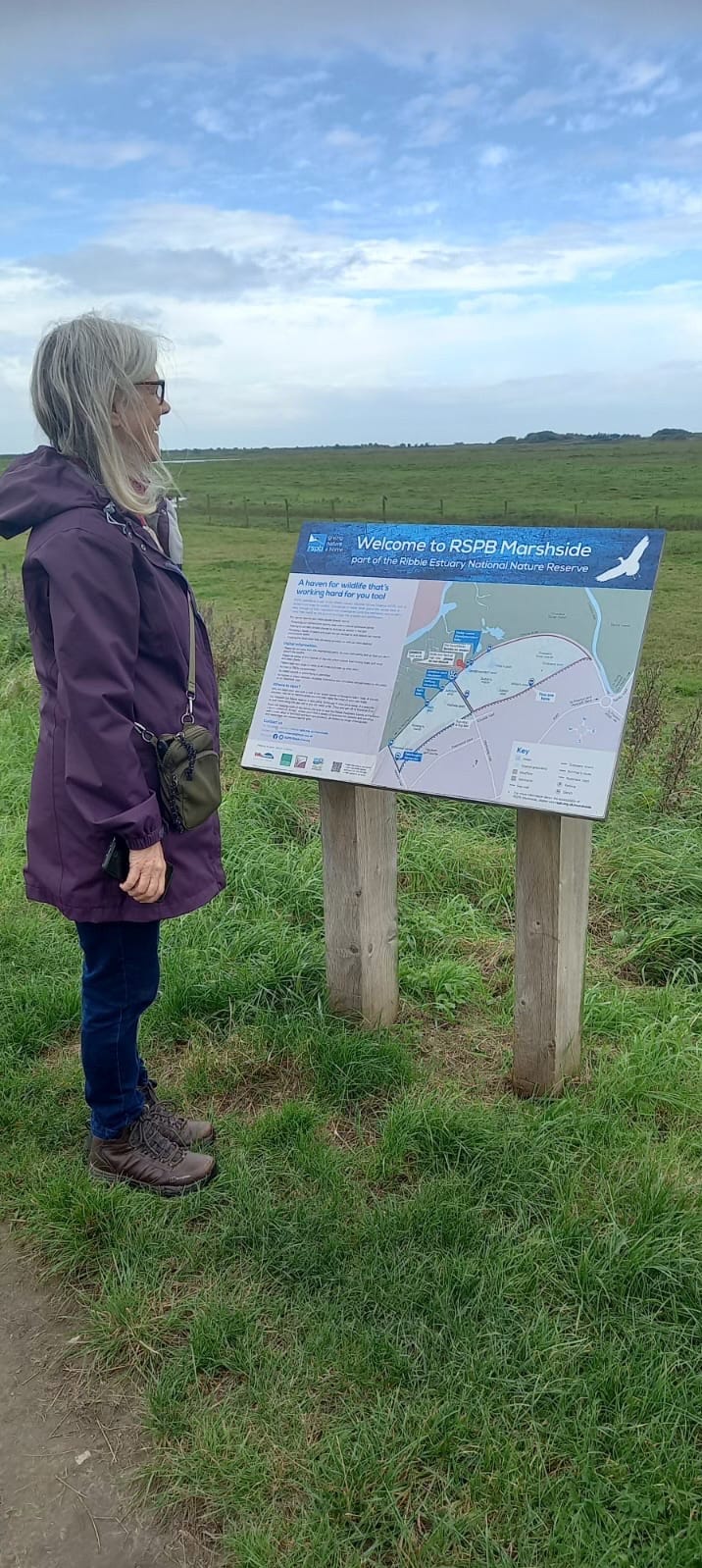 Person overlooking a marsh landscape