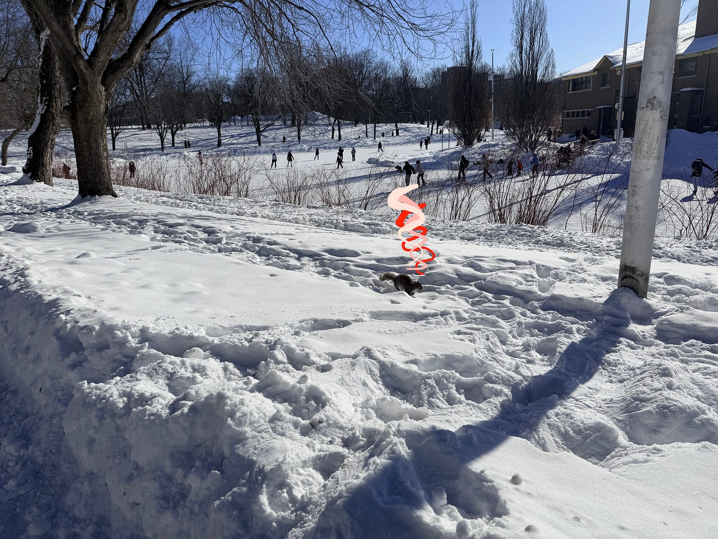 snowscape showing people skating and a squirrel running with squiggles overhead