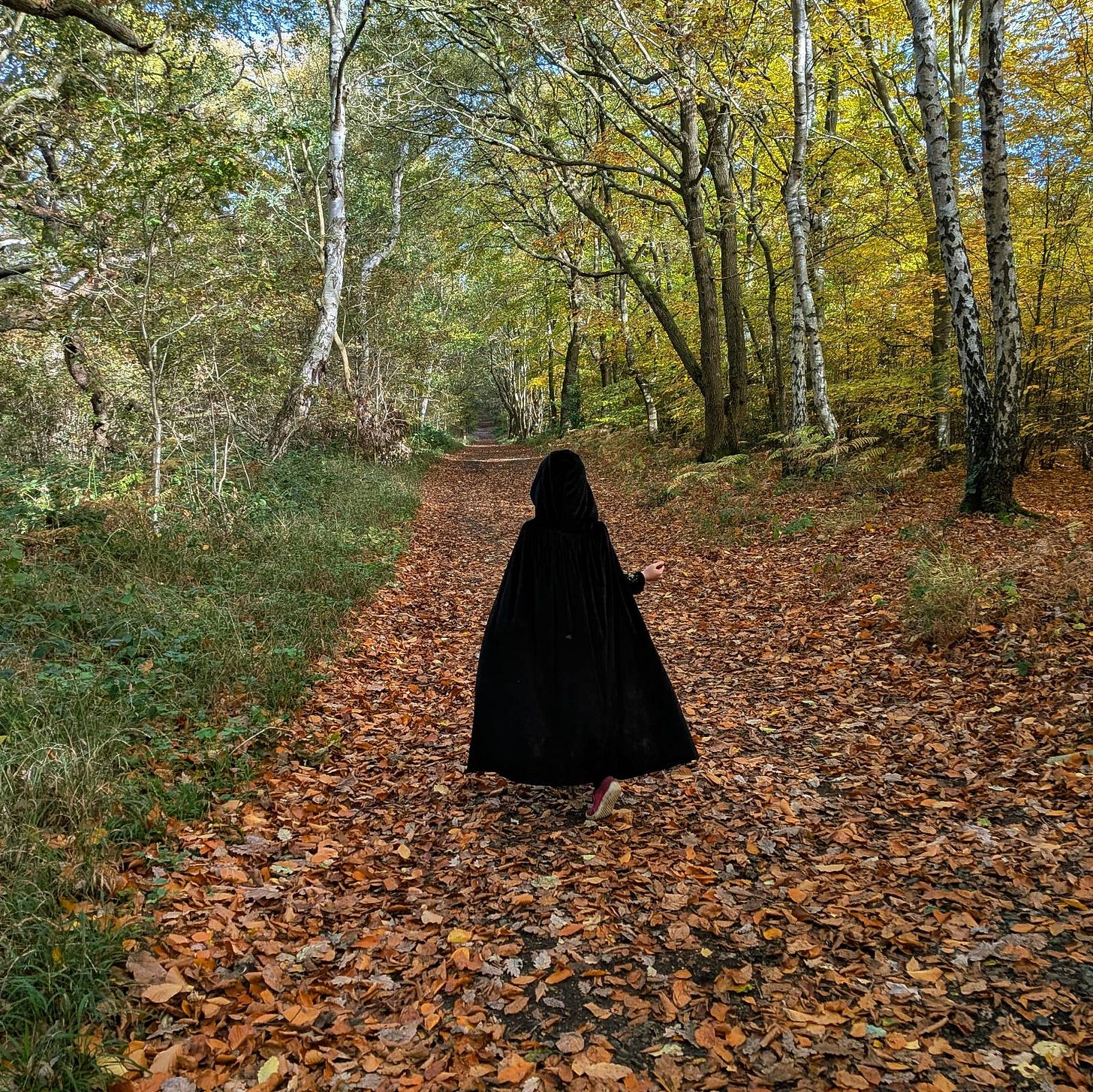 A small child in a black cloak is seen from behind walking into Sherwood forest with autumn leaves all across the path A small child in a black cloak is seen from behind walking into Sherwood forest with autumn leaves all across the path