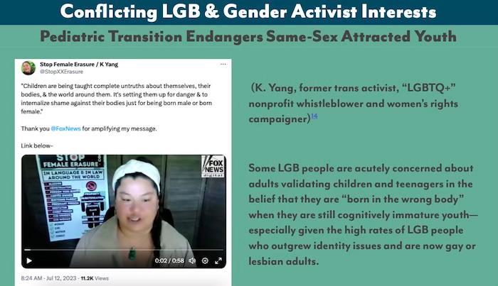 Many LGB people are concerned about so many youths being put on a medical pathway.