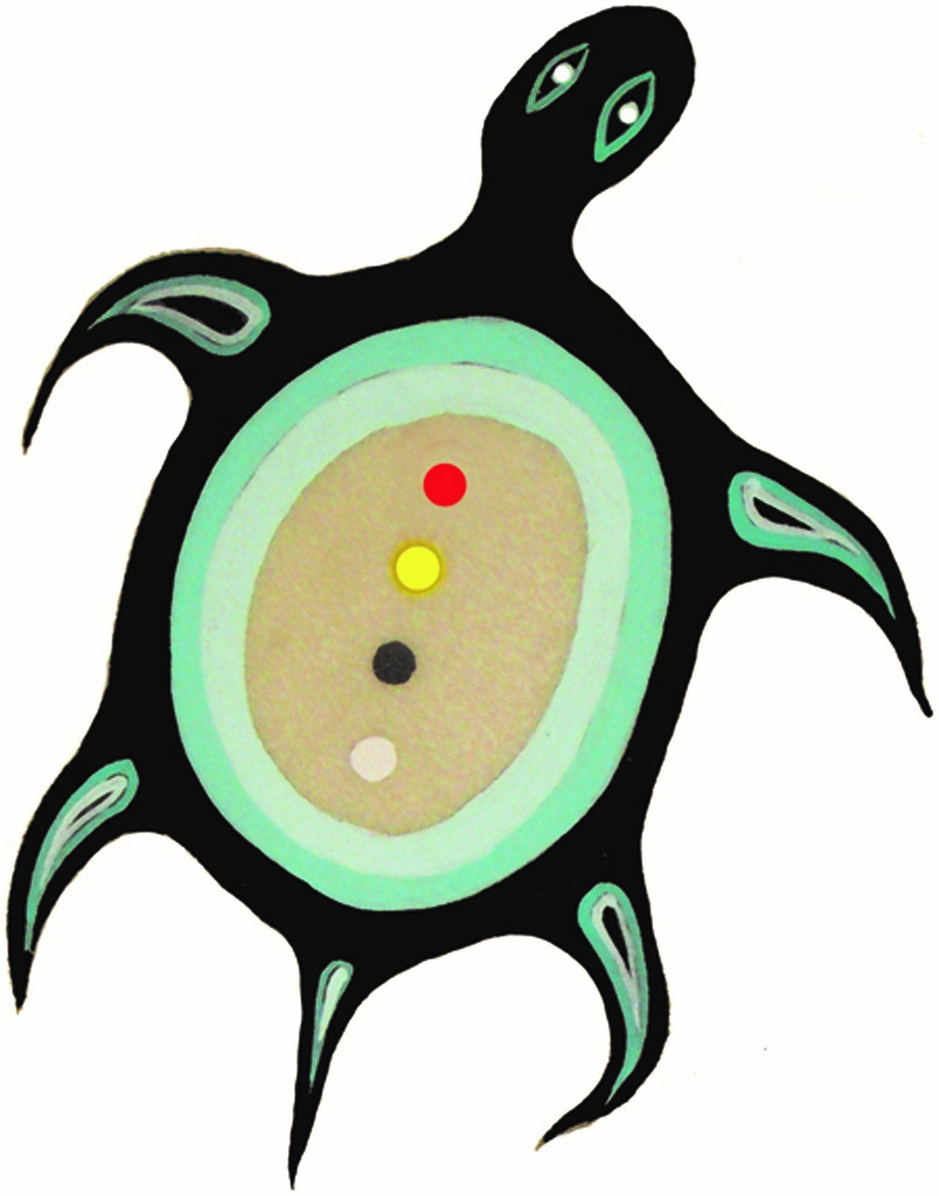 turtle turtle