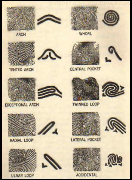 Projected Pattern Forensic Image Will AI-Managed Forensic Sciences Keep Us Safe?