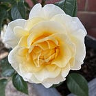 being a bit wrong, again