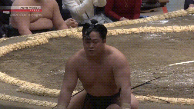 Sumo Stomp! | Tim Bissell | Substack