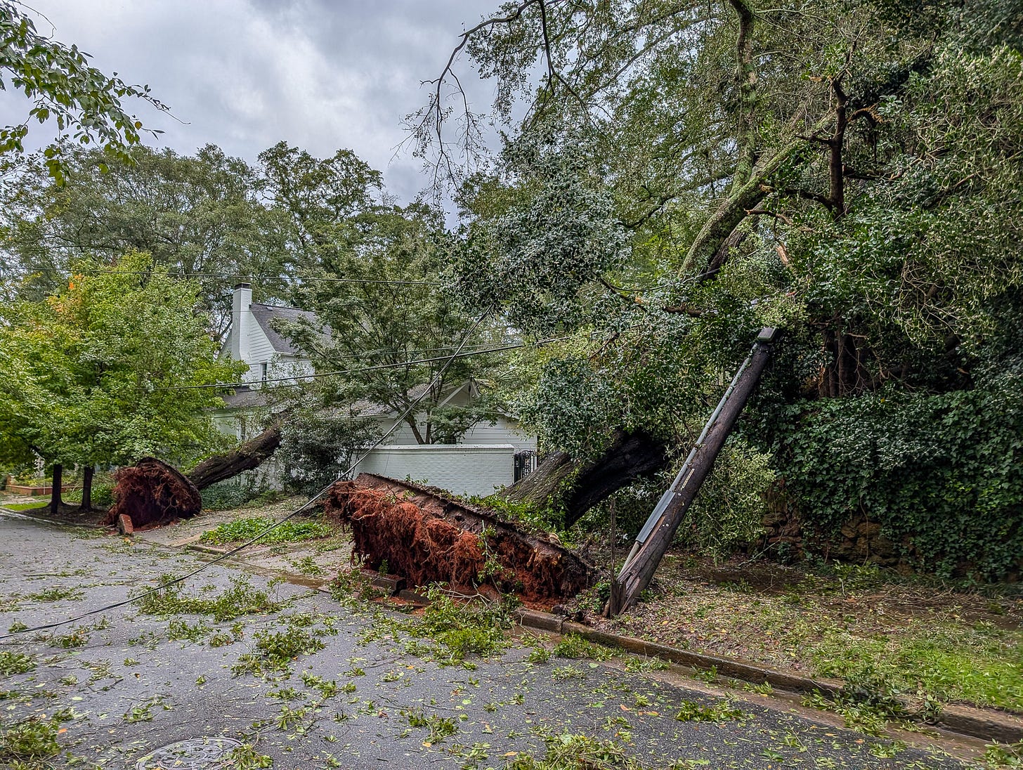 Suburban street showing storm damage and large trees toppled onto houses