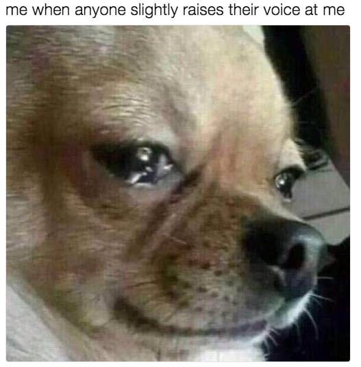 Relatable Memes for Extra Sensitive People!
