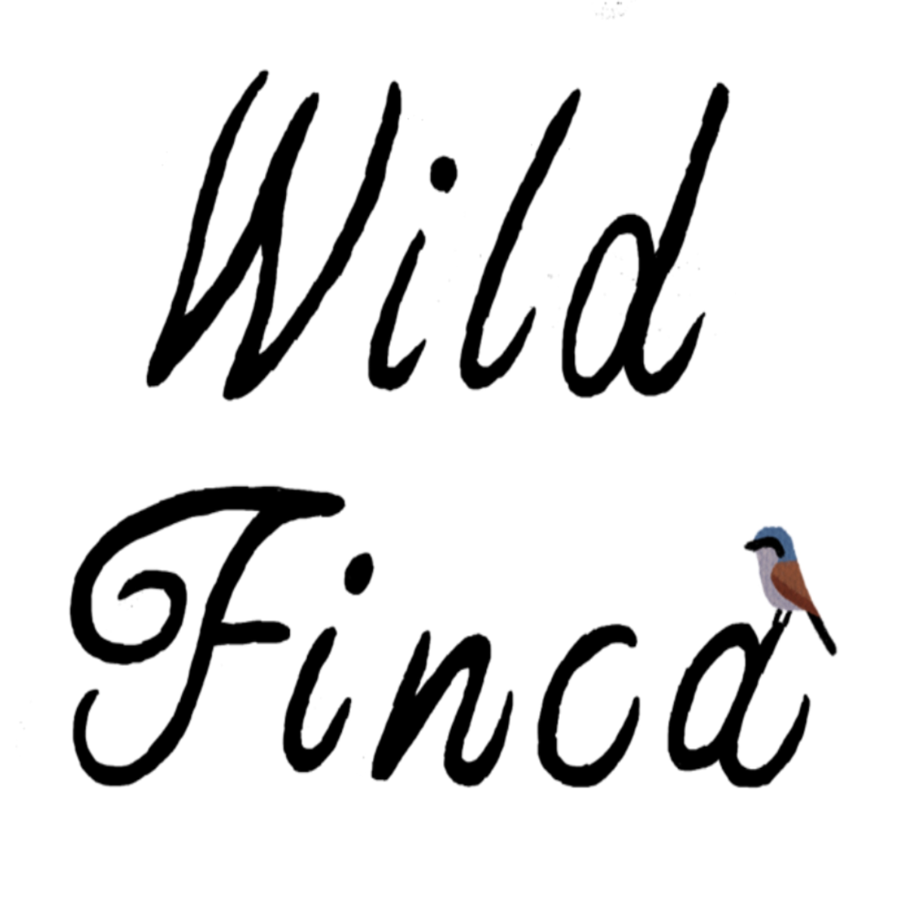 Wild Finca's Newsletter
