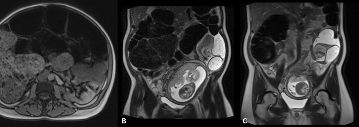 64757f68-e335-4958-8484-