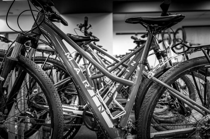 biking, camping, frisbee, trails, tents, kayak, canoe, and gear rental
