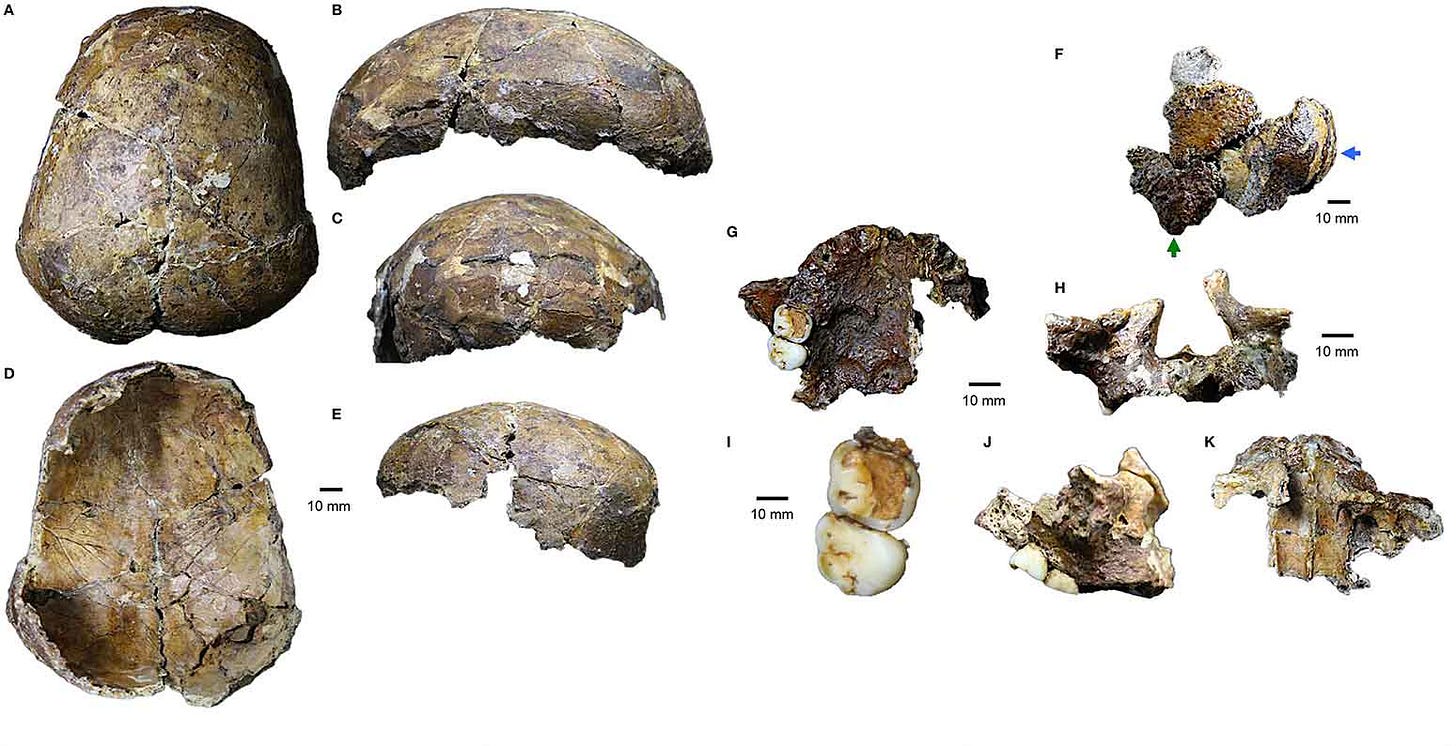 Fragments of the Deep Skull from Niah Caves