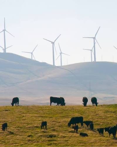 ❓ Concern: Solar and wind projects always take land out of productive use for grazing. 📚 Reality: Many renewable energy projects can support mixed land use, including grazing, while also generating energy. ❓ Concern: Solar and wind projects always take land out of productive use for grazing. 📚 Reality: Many renewable energy projects can support mixed land use, including grazing, while also generating energy.