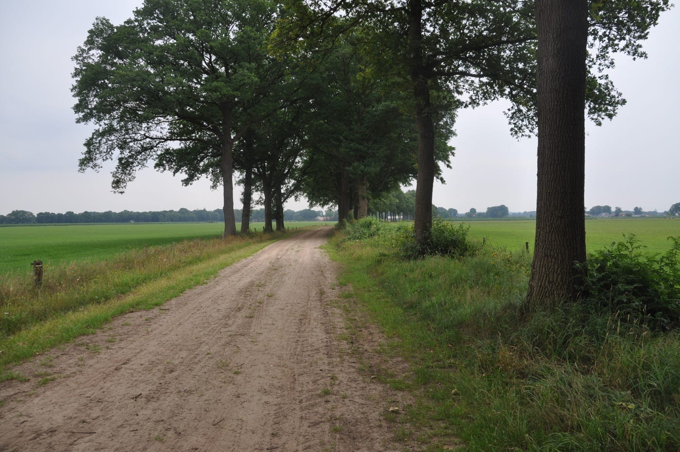 Lemselermaten (Natura 2000) - Provincie Overijssel