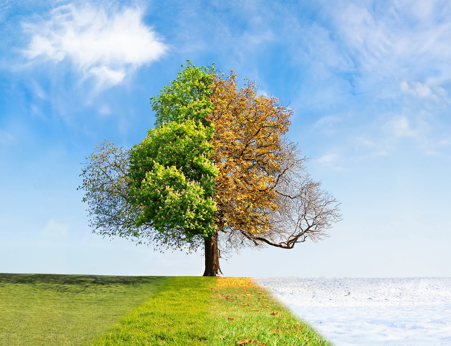 Changing Seasons and Back to School - Wellness Recovery Action Plan