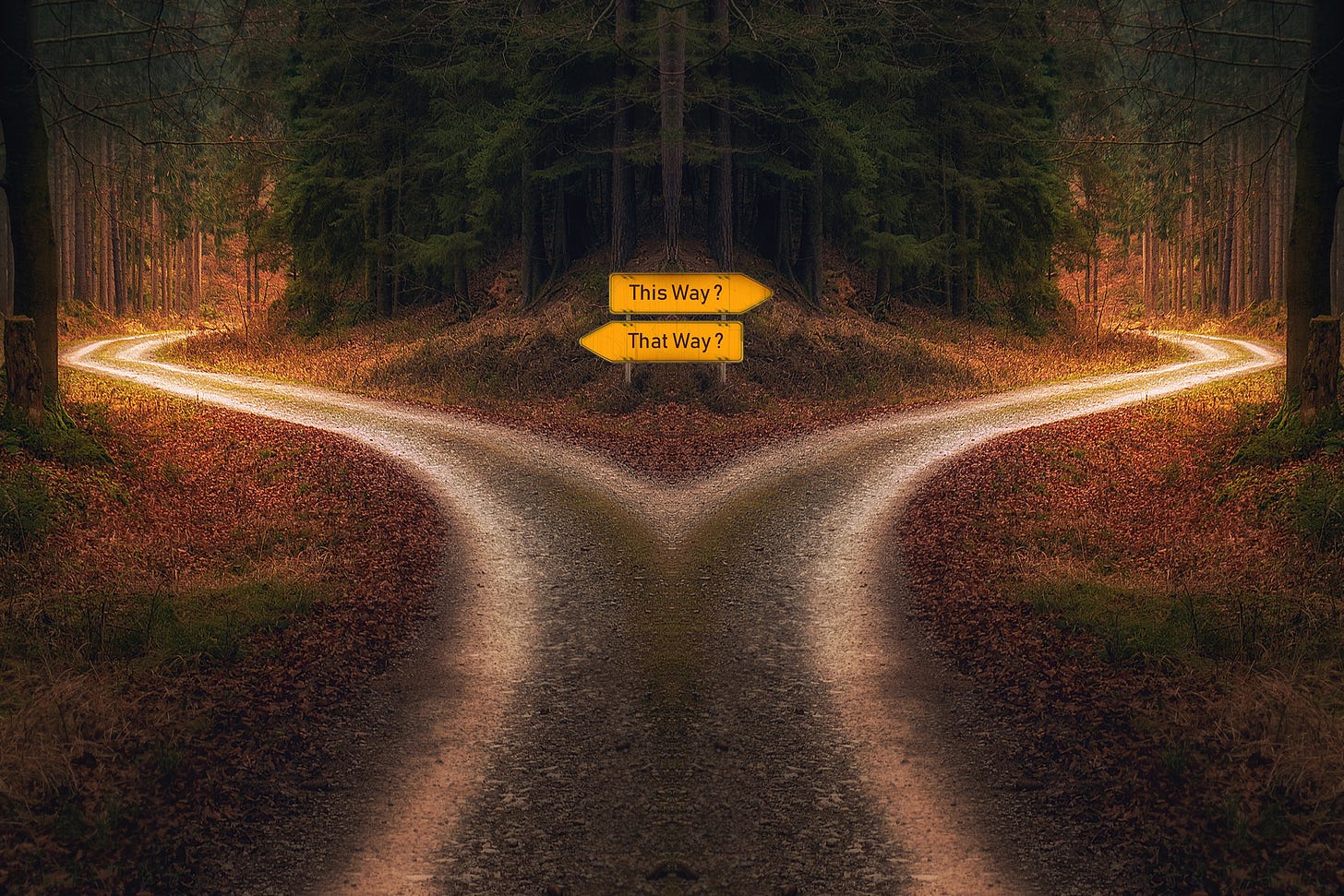 Fork in the Road