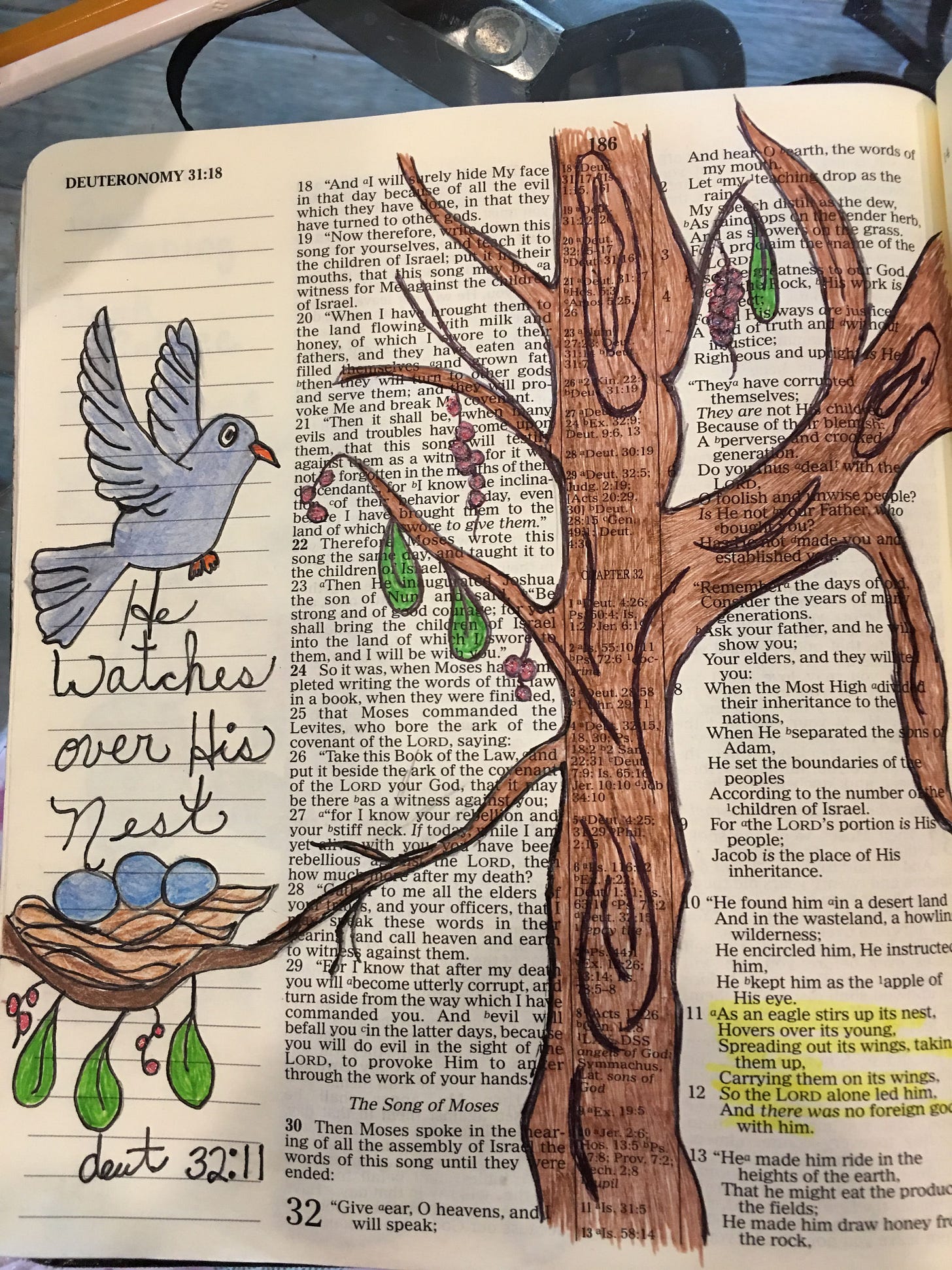 Pin on Ronnies bible journaling