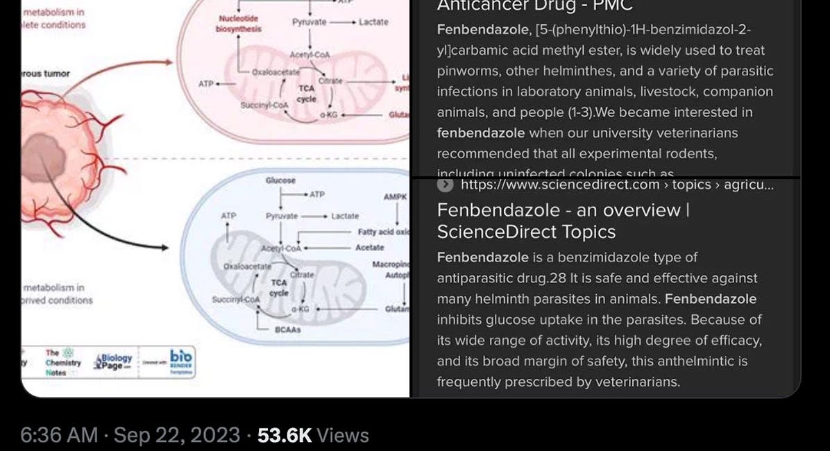 Cancer Acts Like A Parasite