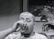 Three Stooges GIF - Three Stooges Curly - Discover & Share GIFs