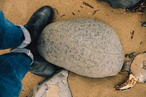 Fuji photographs of life by Tyler Knott Gregson