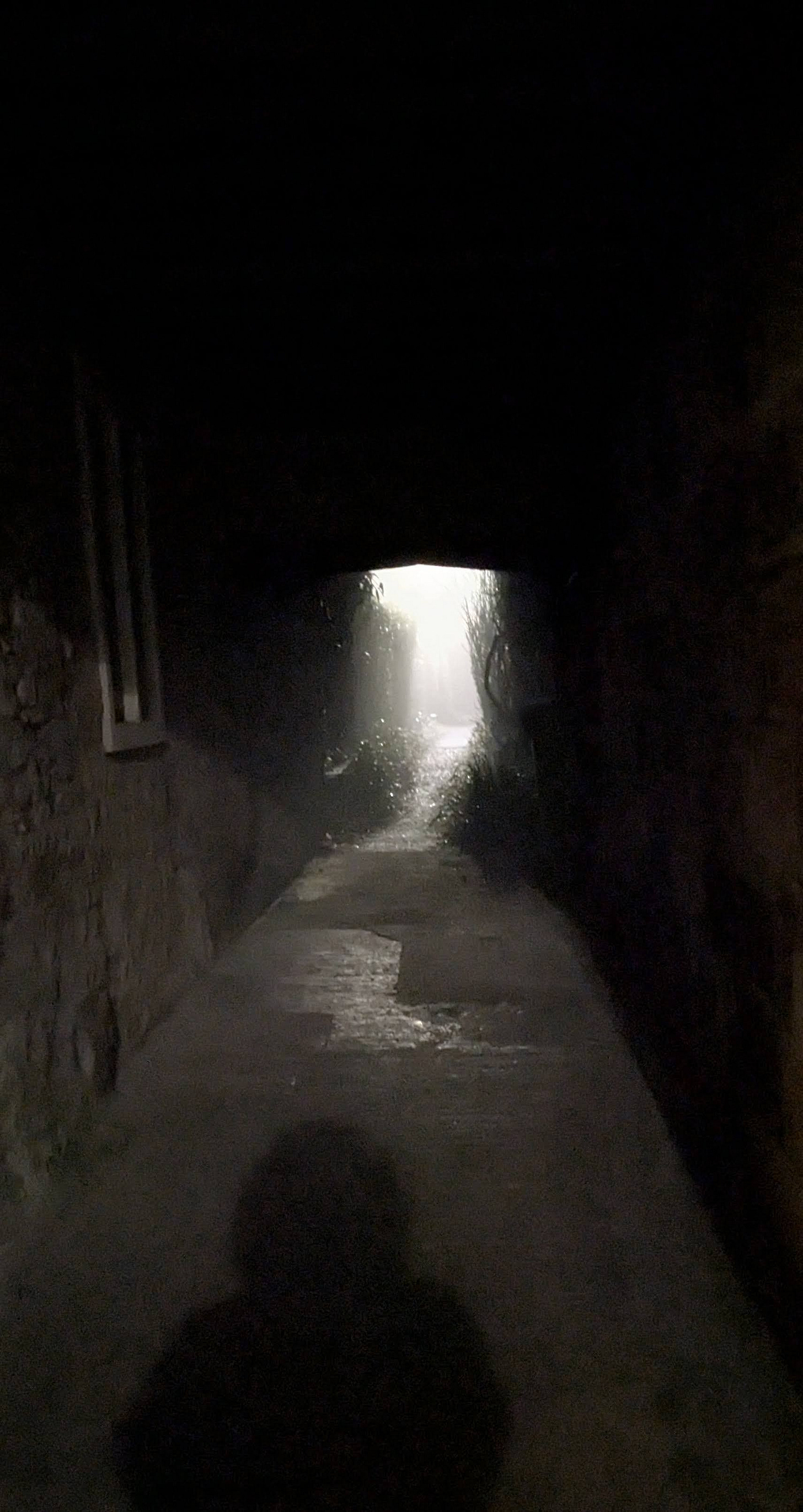 Looking through a dark tunnel towards an alleyway. The street lamp beyond illuminates the swirling fog.