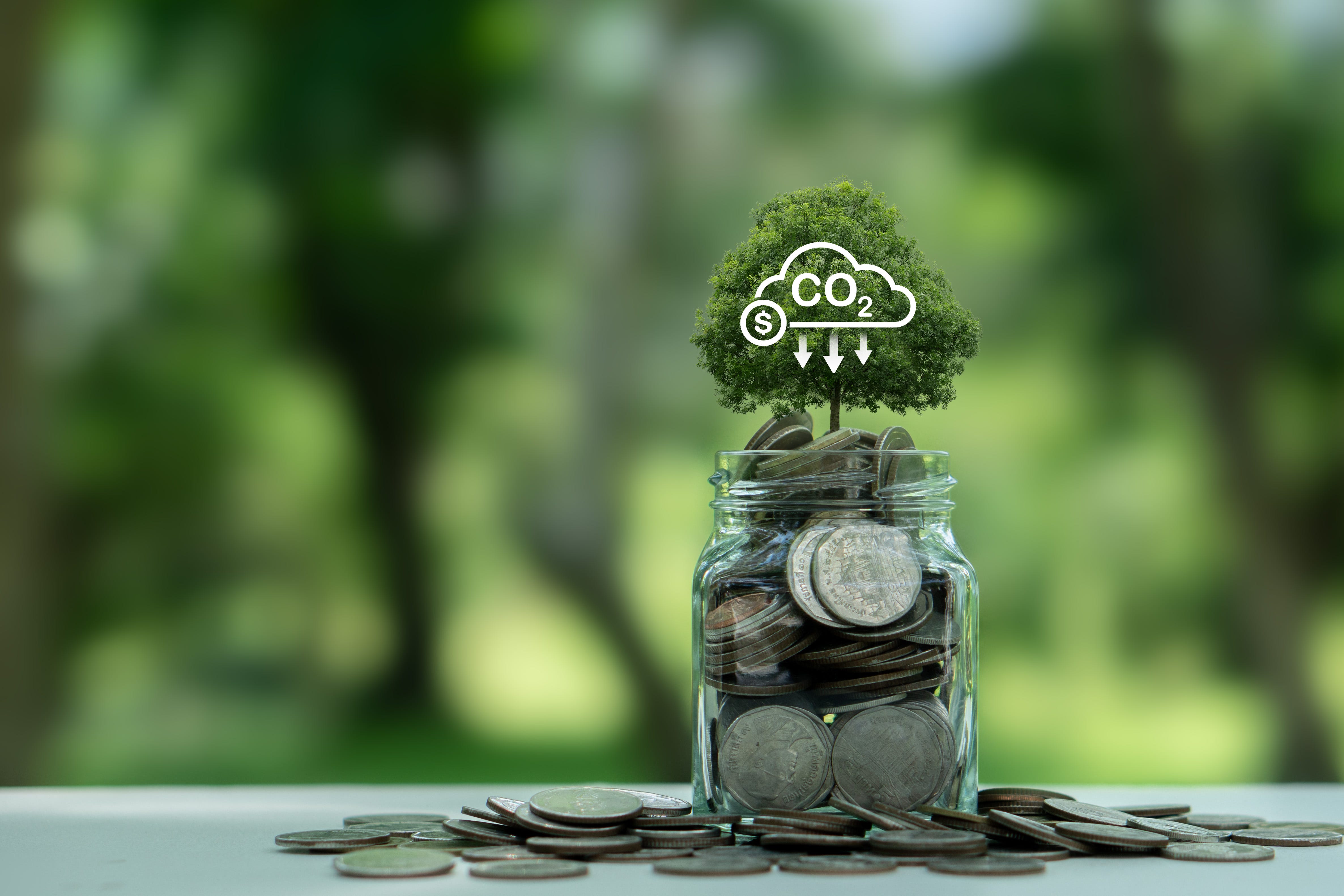 Should data centers pay a carbon tax?
