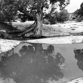 News Roundup: Arroyos on trial; Superstition Vistas; Lake Powell bridge