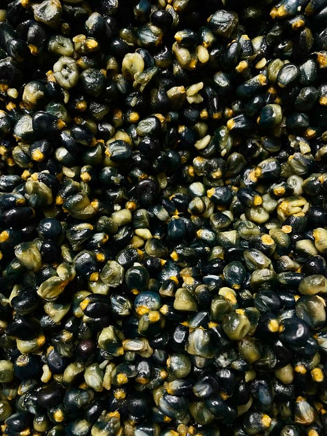 Corn being ground my hand on stone