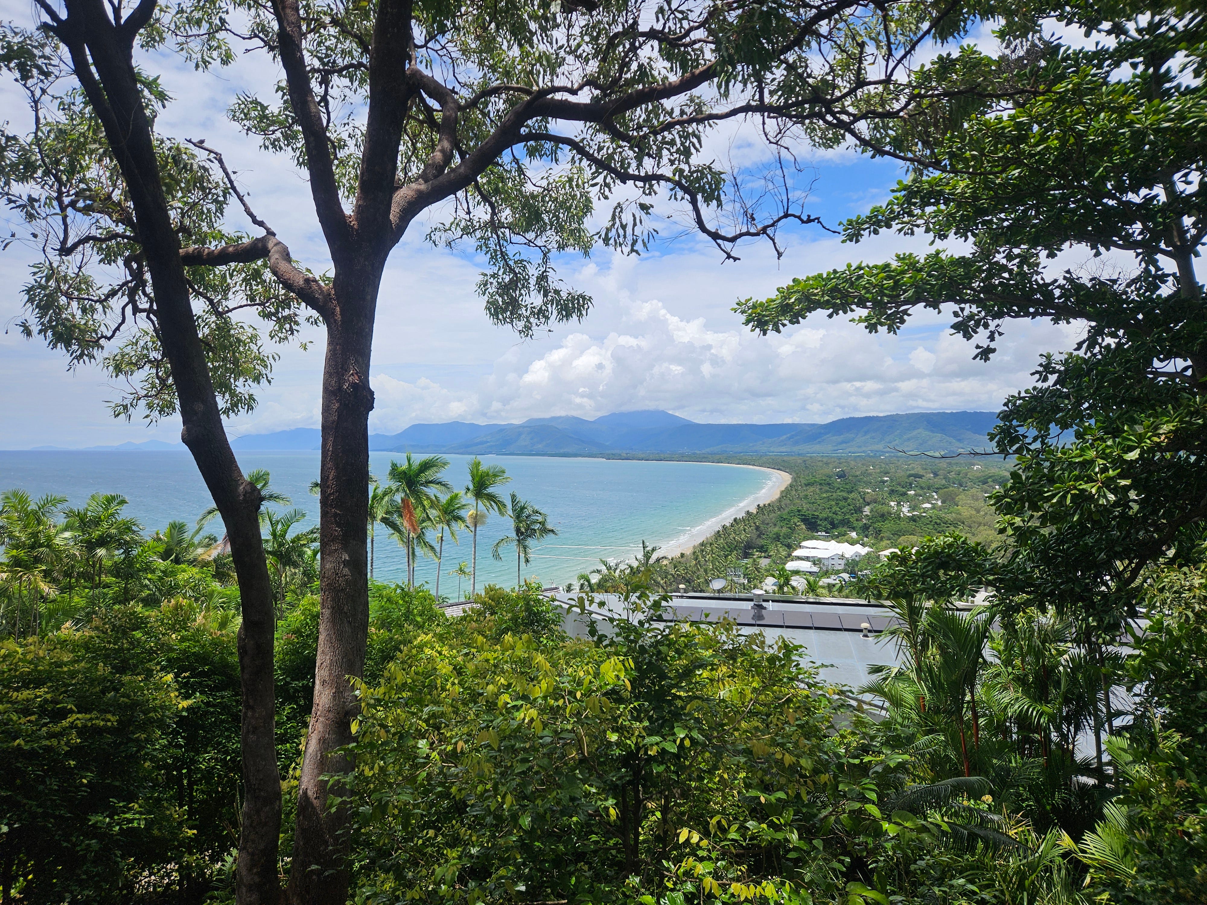 Port Douglas in One Day: Beaches, Books and a Very Good Pie