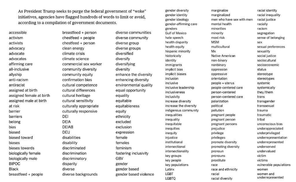 Government Language Control