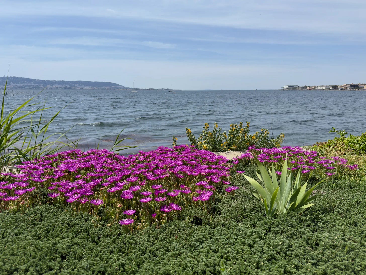 Jardin Jardin