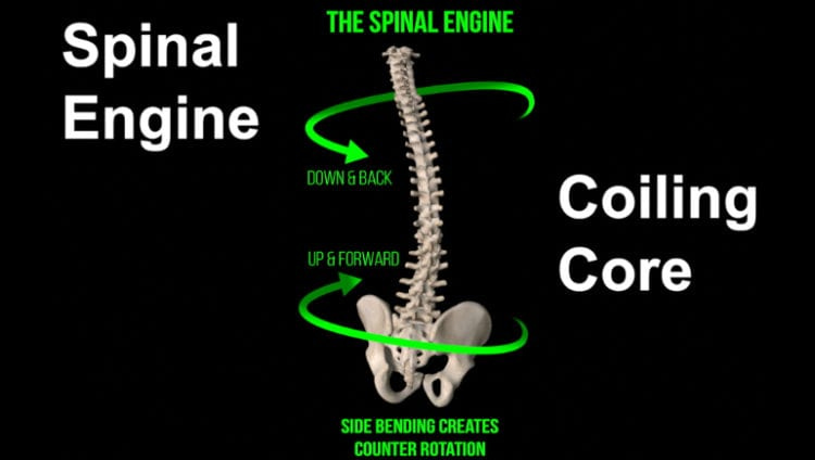 David Weck: Enhancing the Core of Athletic Movement - On Target ...