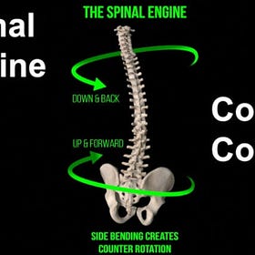 Your Amazing Spinal Engine