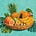 The Island Spirit Kitchen's avatar