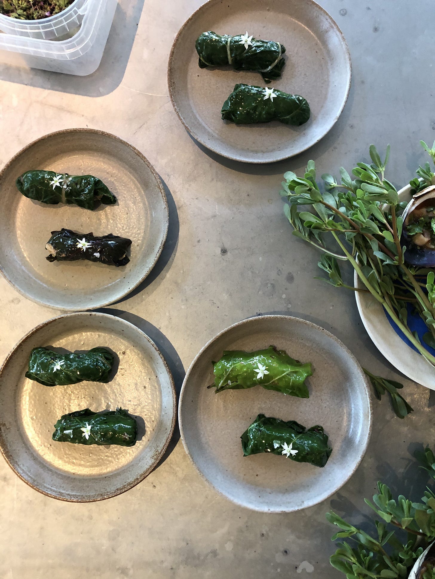 Cabbage Dolma wrapped in swisschard Filled with roasted cabbage and Mermaid farms feta