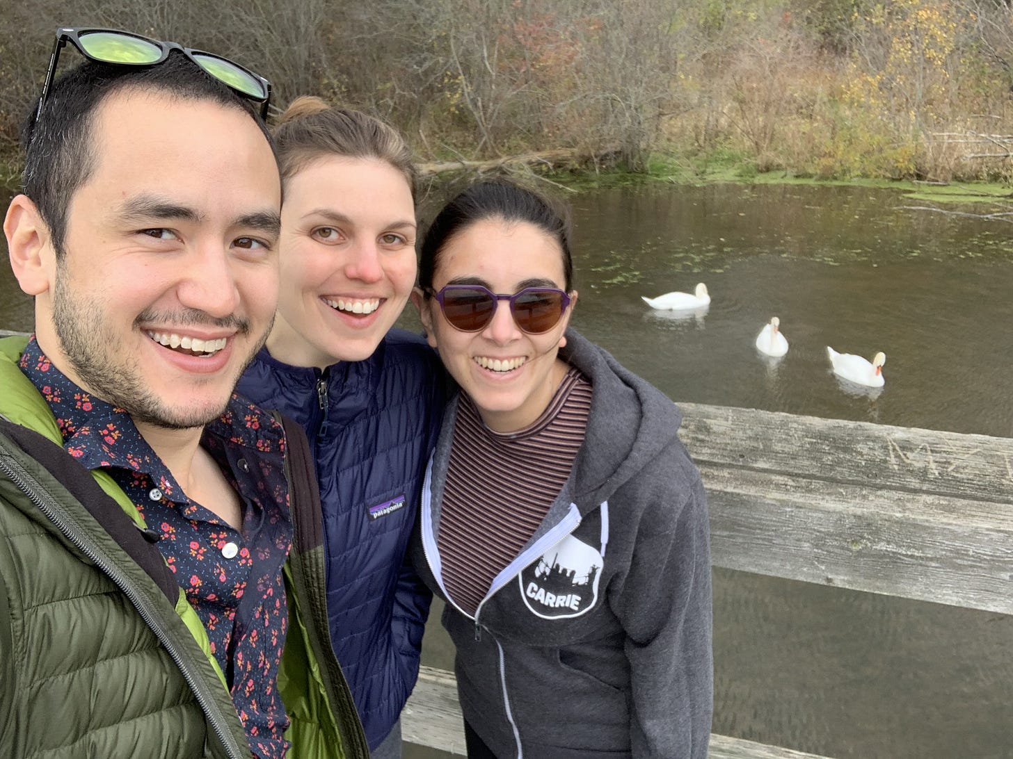 Poly Triad with Three Swans