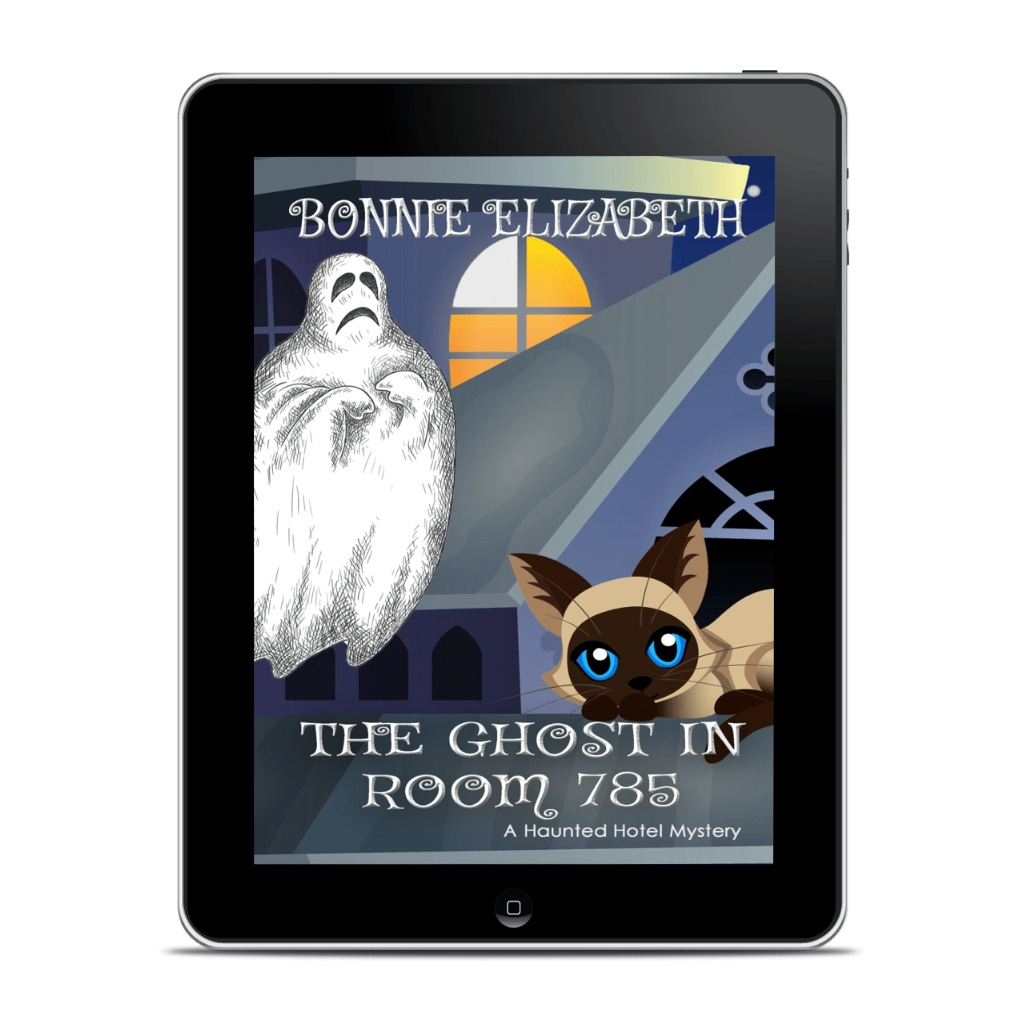 Book cover in an ereader frame. The ghost and a cartoon cat are in front of a close up of a haunted looking house with the light on in a single window