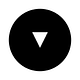 Black Magic Newsletter