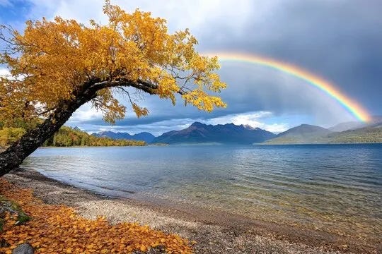 Epistle 4. Why is confession so important?