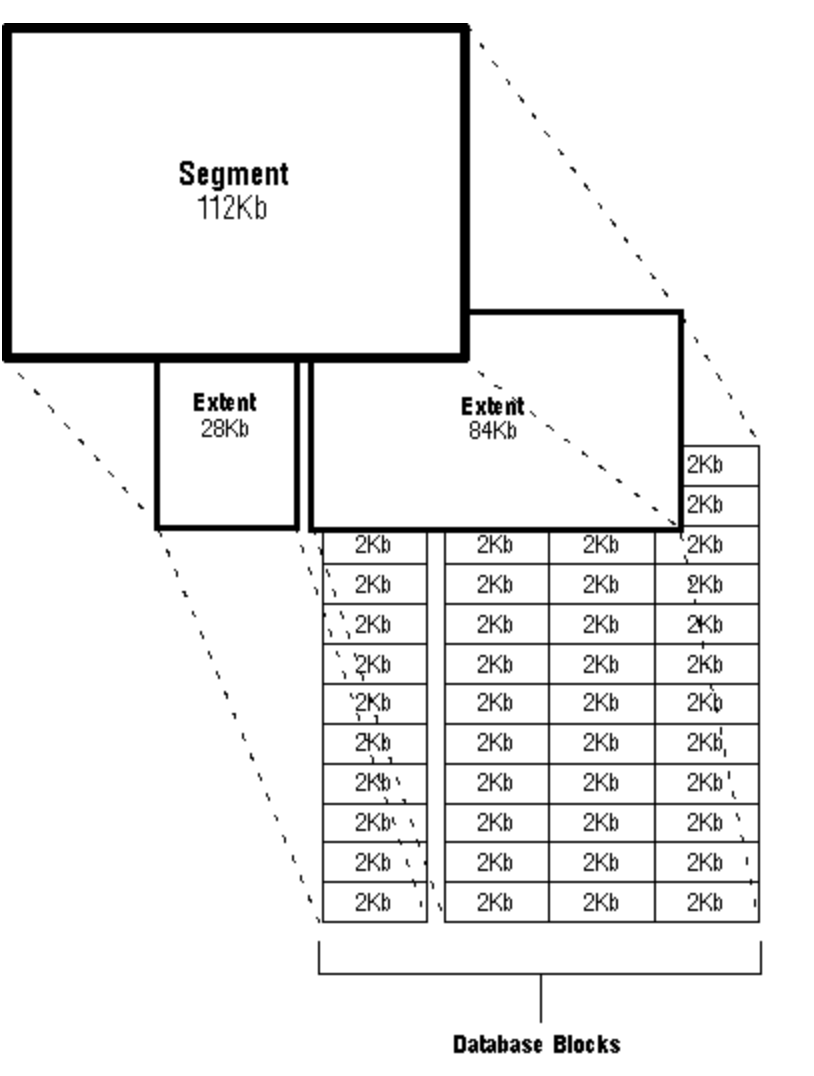 No alt text provided for this image