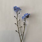 How to make a name for yourself