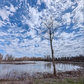When Life Changes Overnight: Staying Engaged and Resilient Through Sudden Transitions