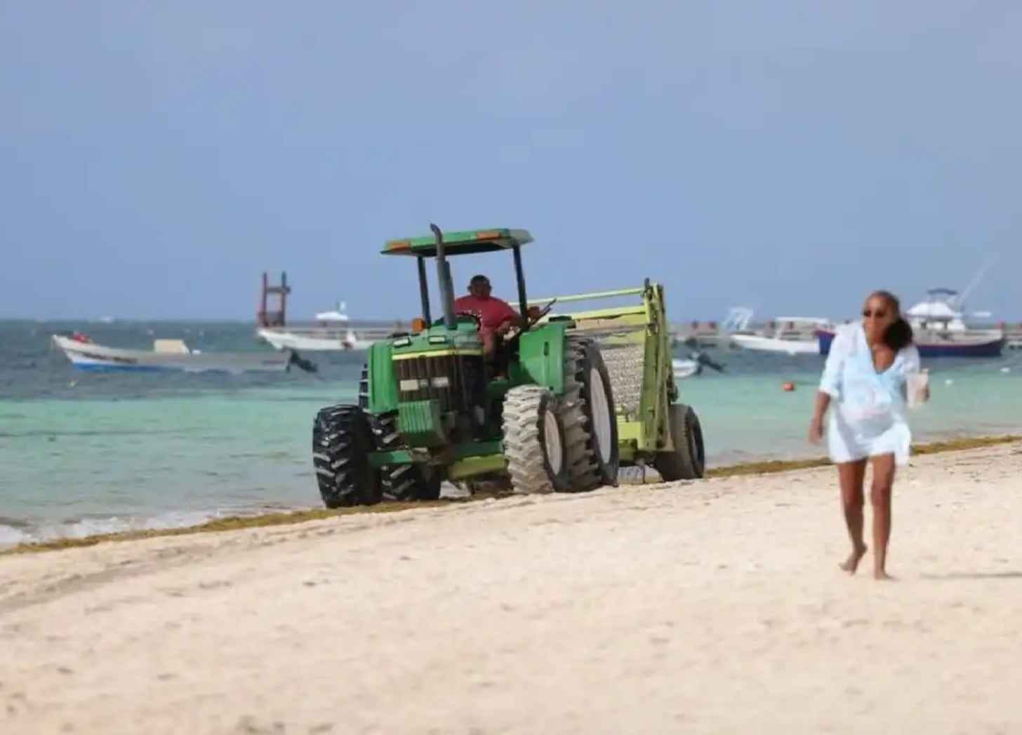 A tractor fitted with a beach-cleaning rake removing sargassum from the sand in Puerto Morelos, Mexico. A tractor fitted with a beach-cleaning rake removing sargassum from the sand in Puerto Morelos, Mexico.